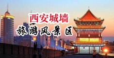 小骚逼真耐操中国陕西-西安城墙旅游风景区