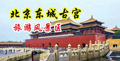 插bb喷水视频爽中国北京-东城古宫旅游风景区